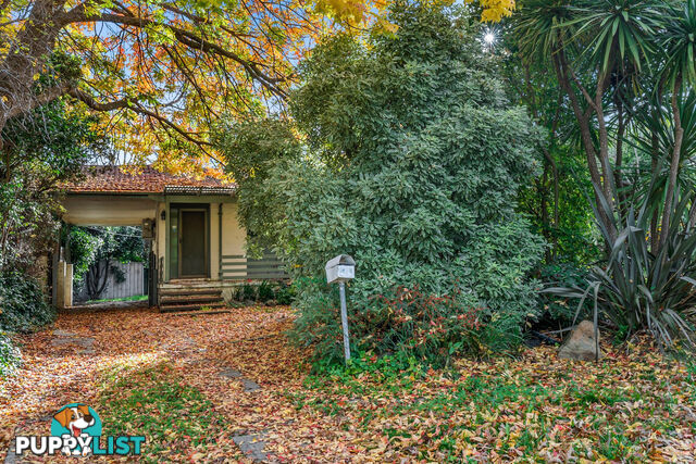 43 Dutton Street DICKSON ACT 2602