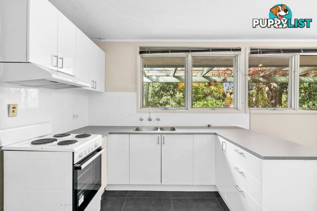 43 Dutton Street DICKSON ACT 2602
