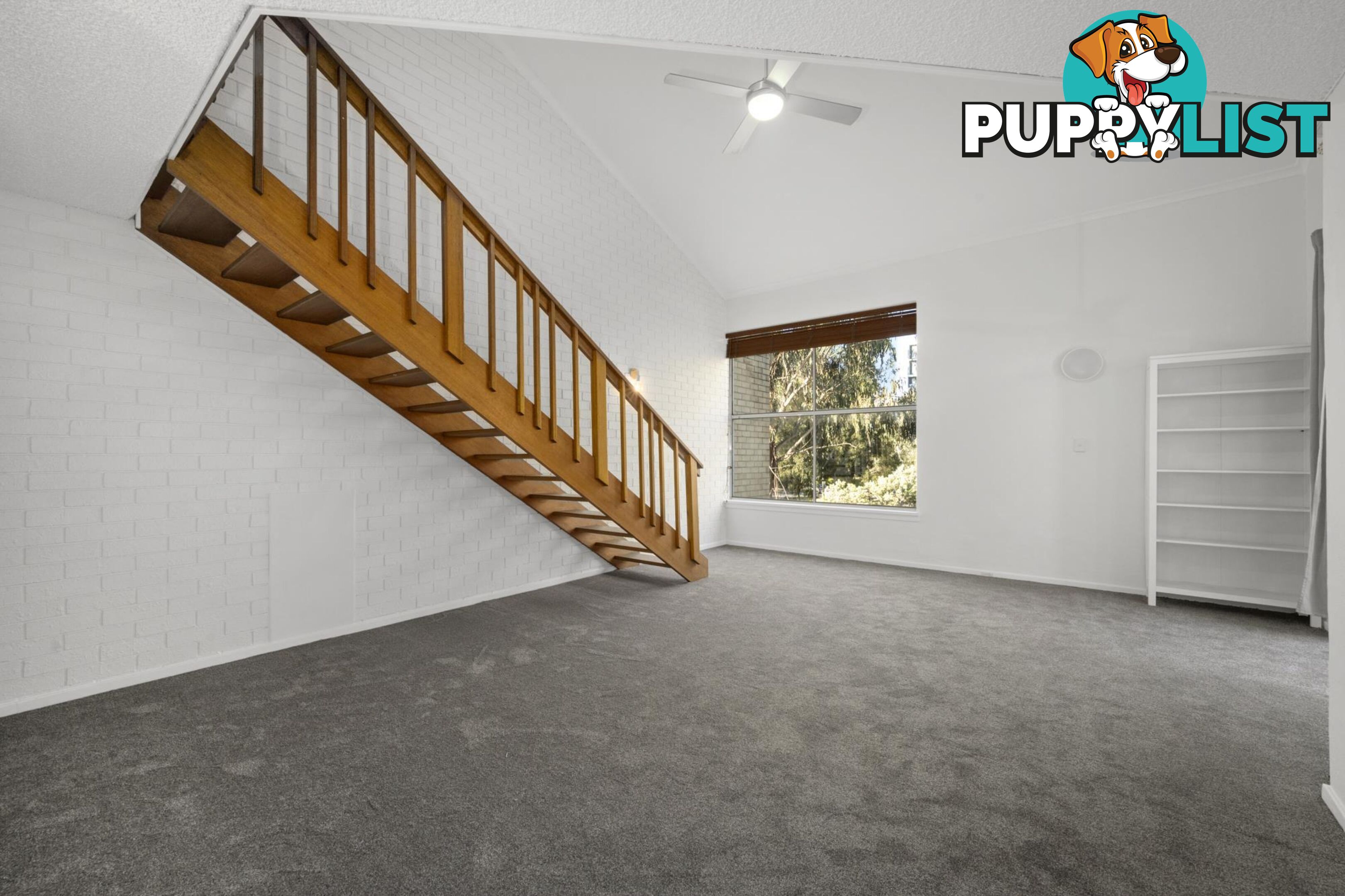 39A/52 Forbes Street TURNER ACT 2612