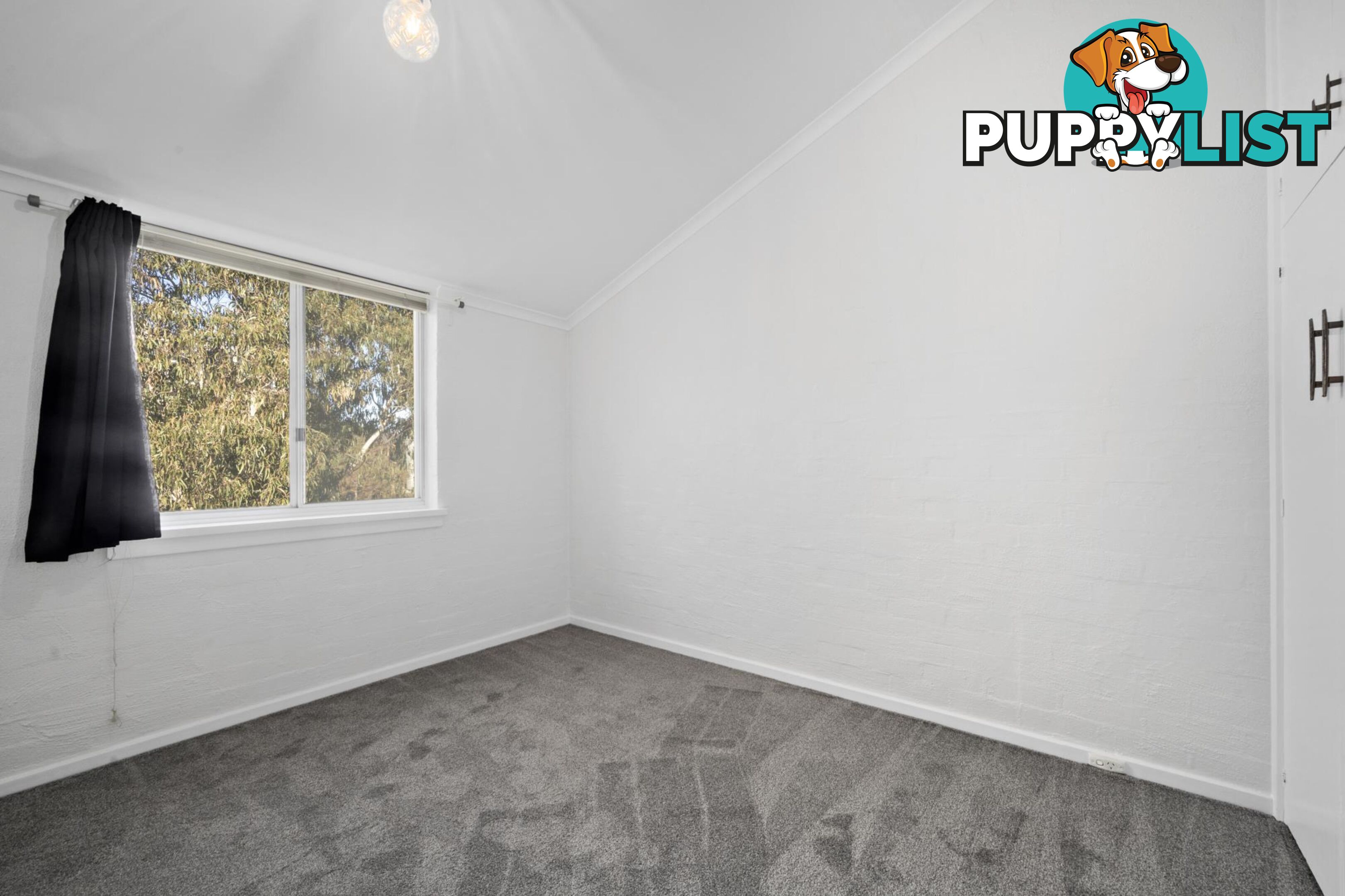 39A/52 Forbes Street TURNER ACT 2612