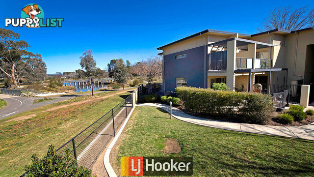 2/42 Goodwin Street LYNEHAM ACT 2602