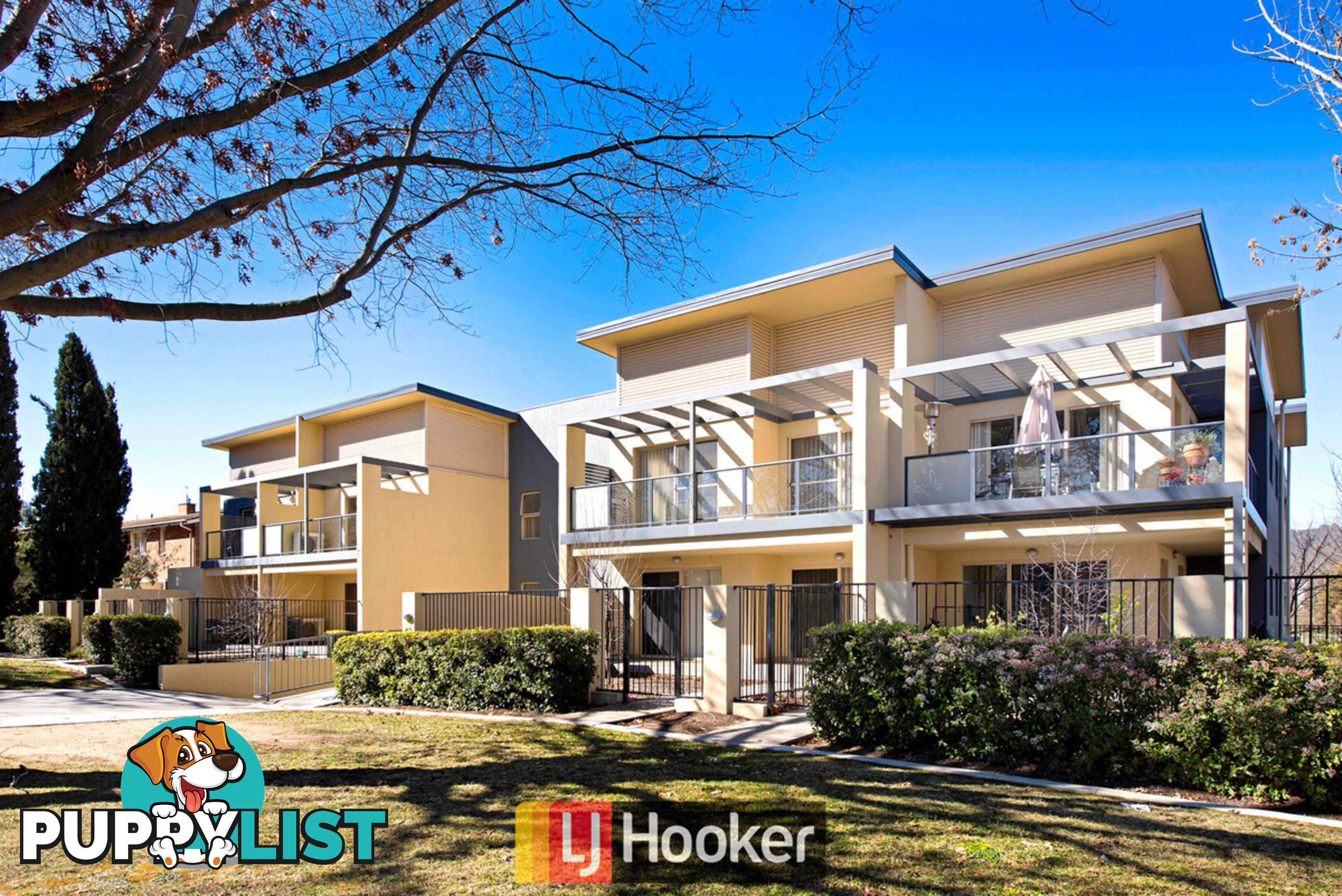 2/42 Goodwin Street LYNEHAM ACT 2602