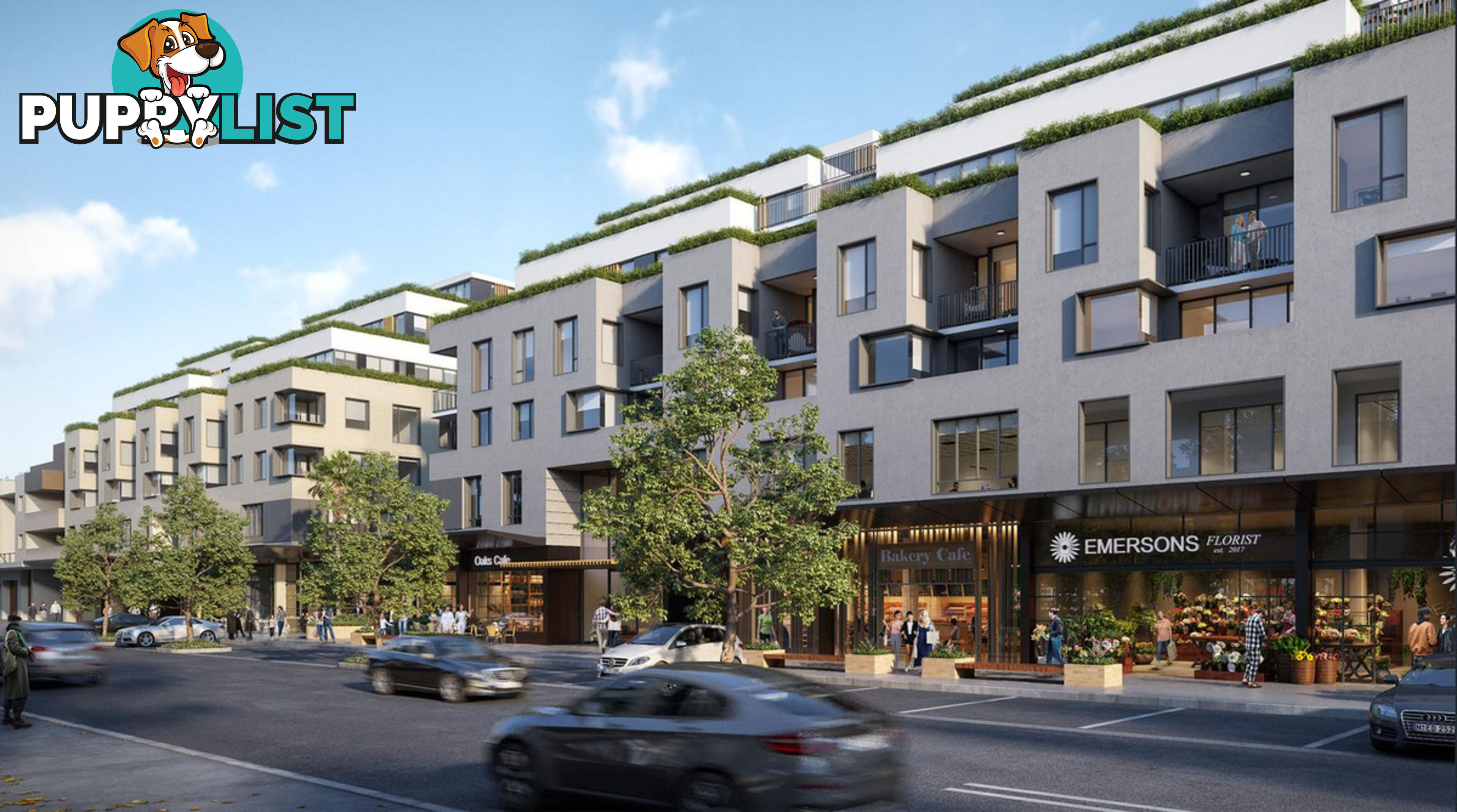 262/9-17 Howard Avenue DEE WHY NSW 2099