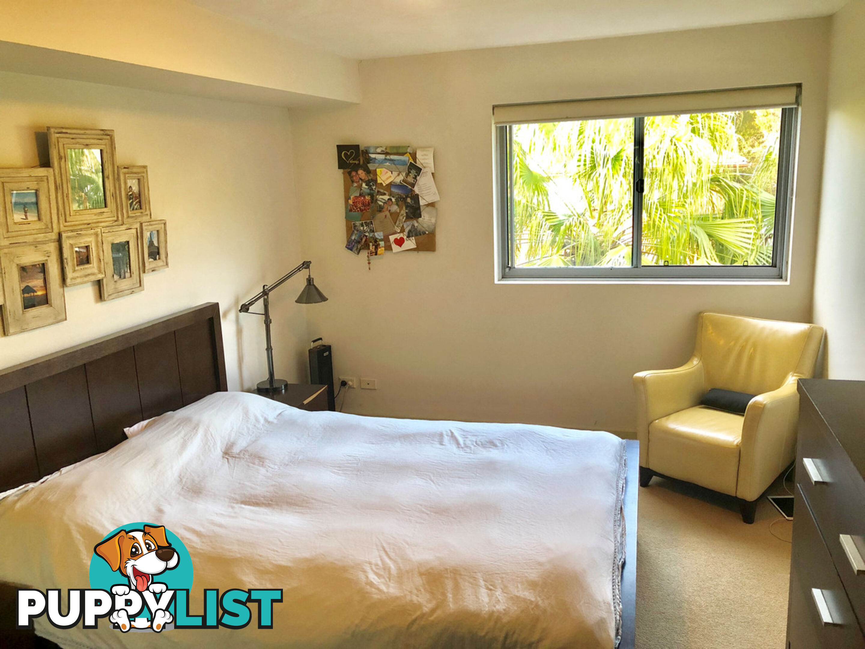 29/2-10 Jenkins Street COLLAROY NSW 2097