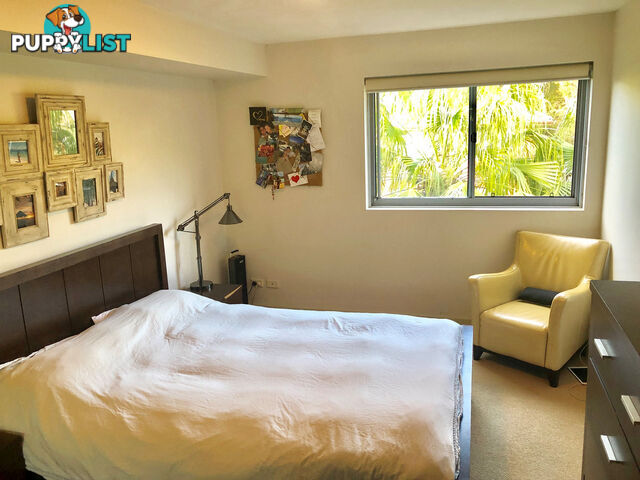 29/2-10 Jenkins Street COLLAROY NSW 2097