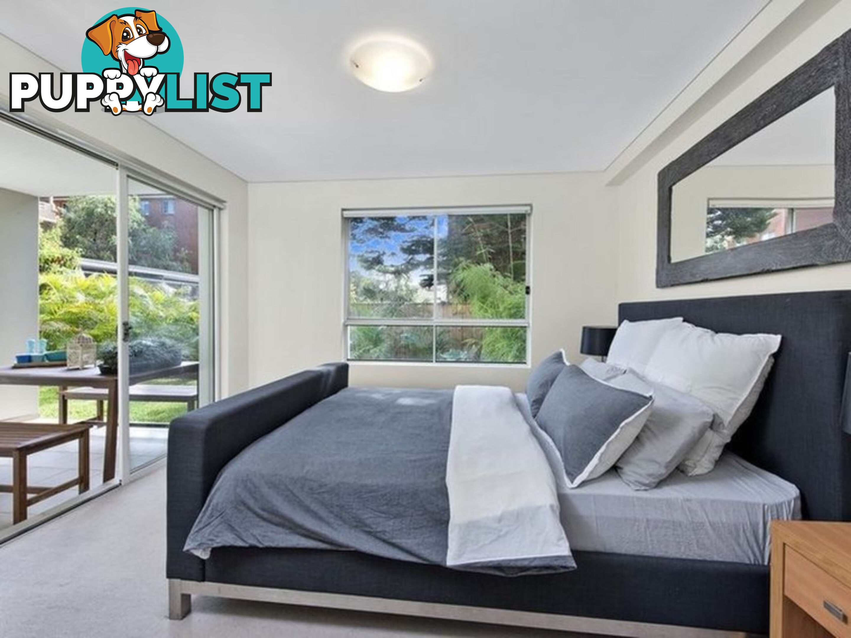 6/771 Pittwater Road DEE WHY NSW 2099