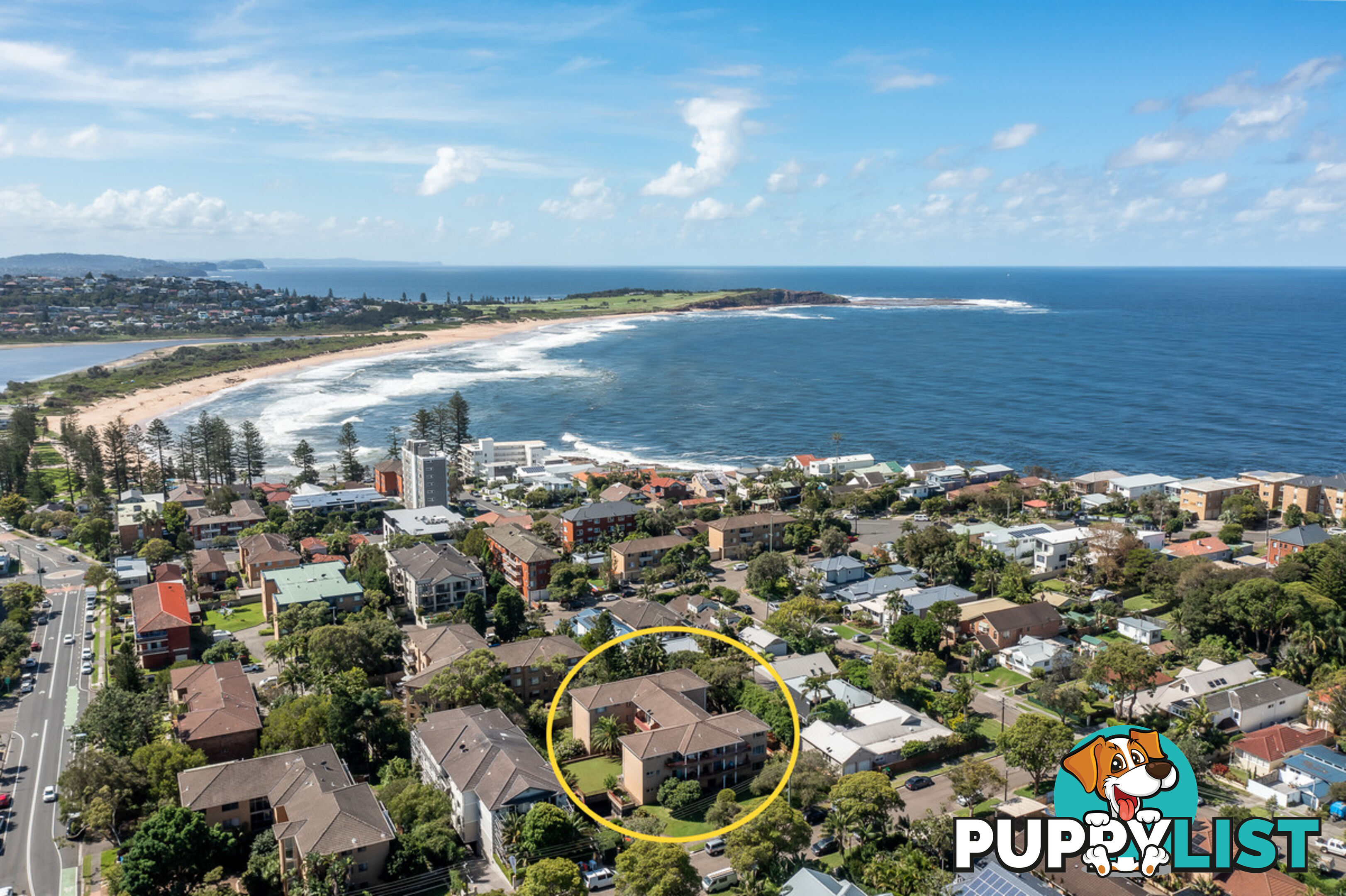 6/36 Banksia Street DEE WHY NSW 2099