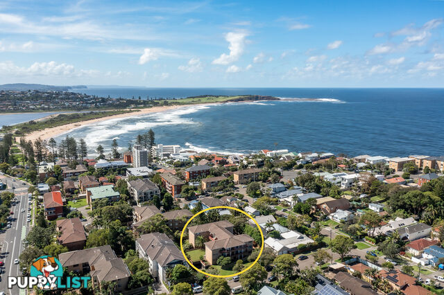 6/36 Banksia Street DEE WHY NSW 2099