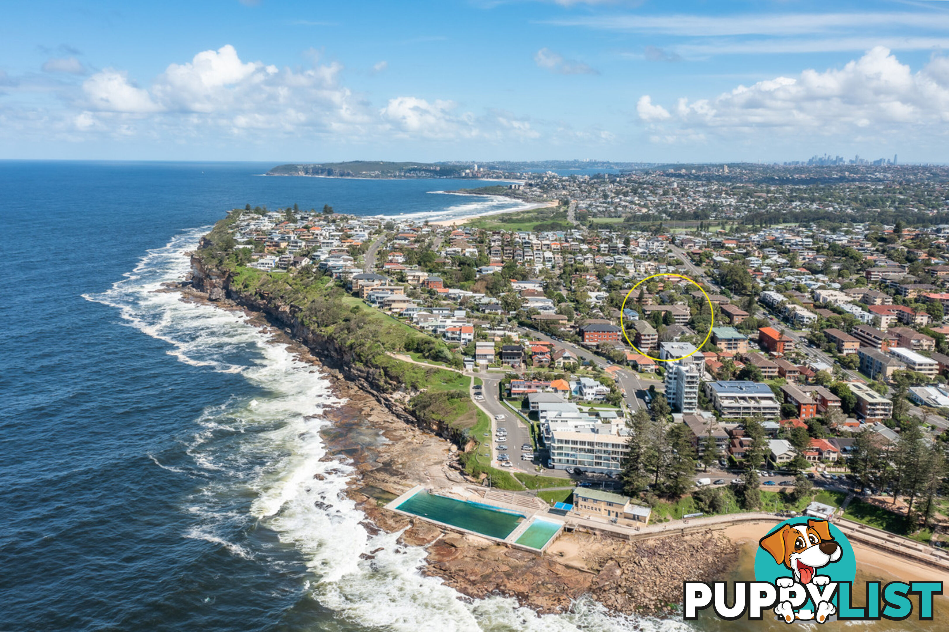 6/36 Banksia Street DEE WHY NSW 2099