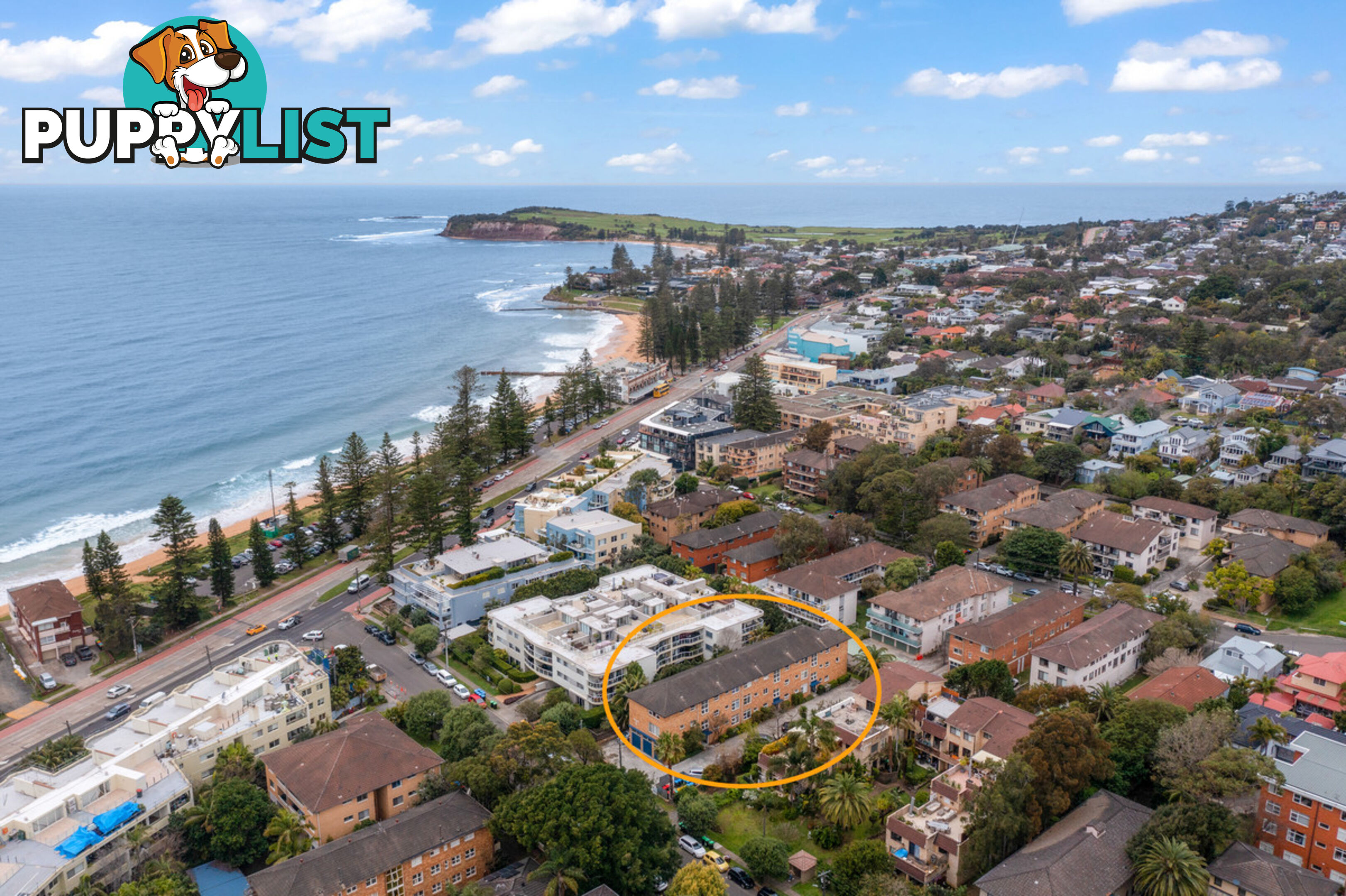 16/14 Jenkins Street COLLAROY NSW 2097