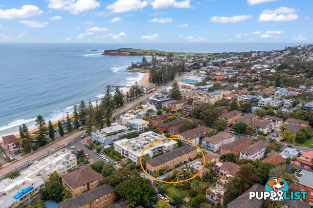 16/14 Jenkins Street COLLAROY NSW 2097