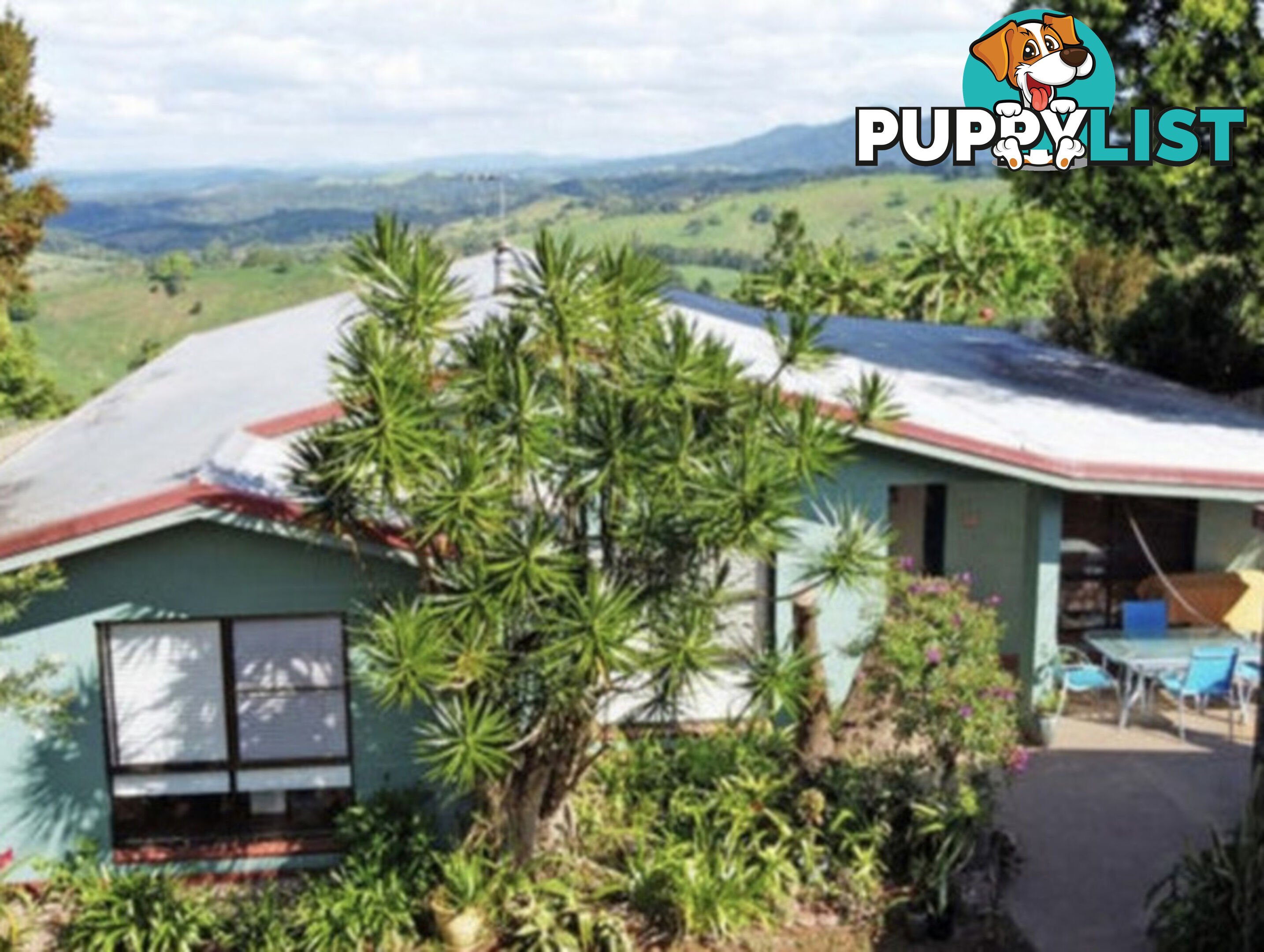 11 Pine Street MILLAA MILLAA QLD 4886