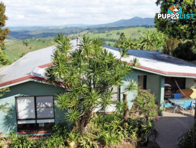 11 Pine Street MILLAA MILLAA QLD 4886