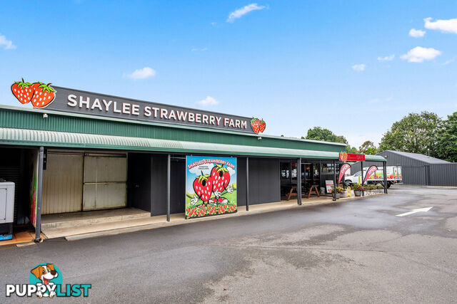 255 Marks Lane ATHERTON QLD 4883