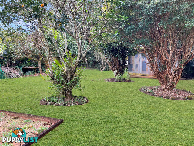 21 Beech Street YUNGABURRA QLD 4884