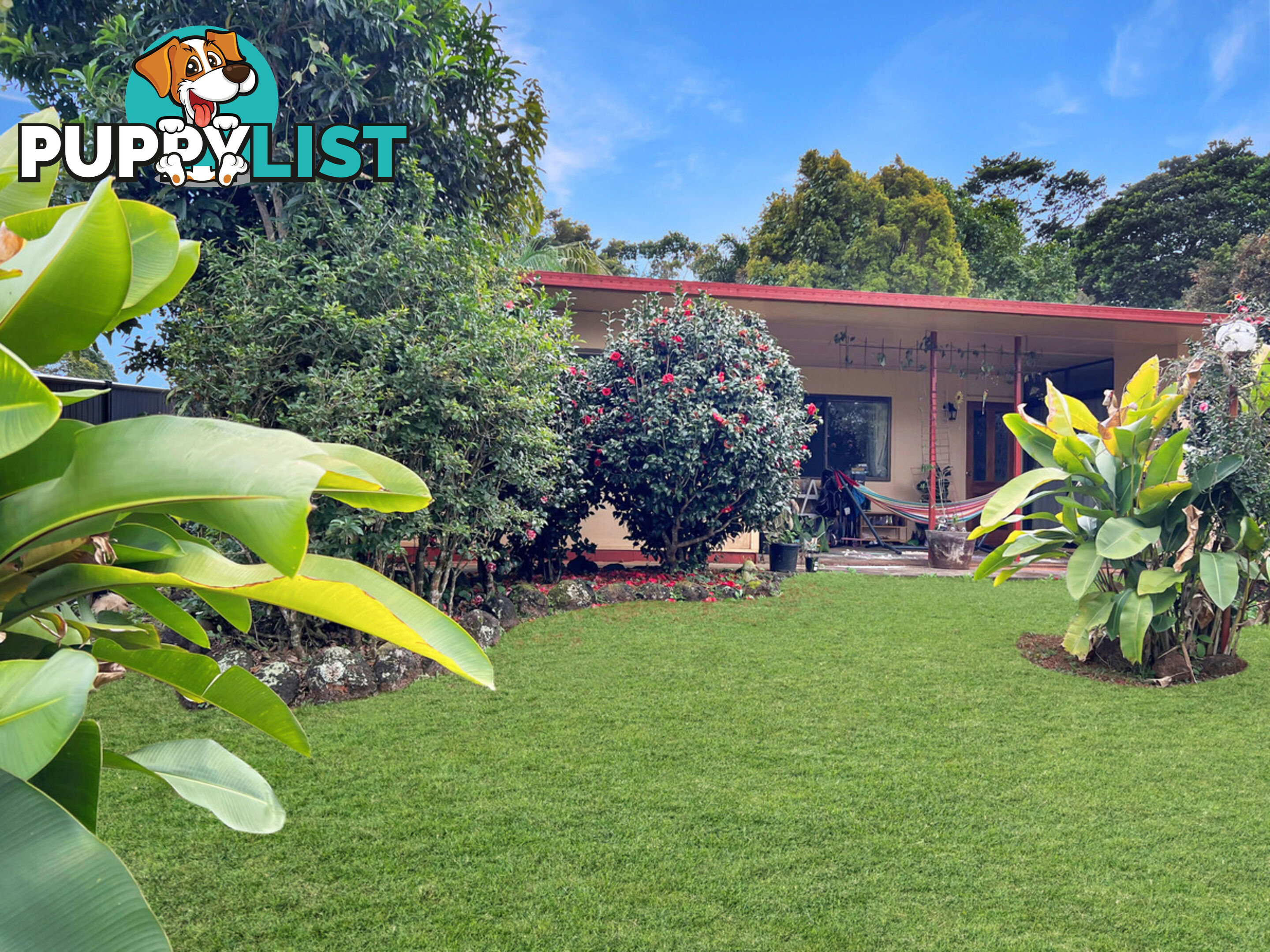 21 Beech Street YUNGABURRA QLD 4884