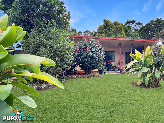 21 Beech Street YUNGABURRA QLD 4884