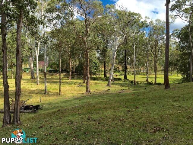 RAVENSHOE QLD 4888