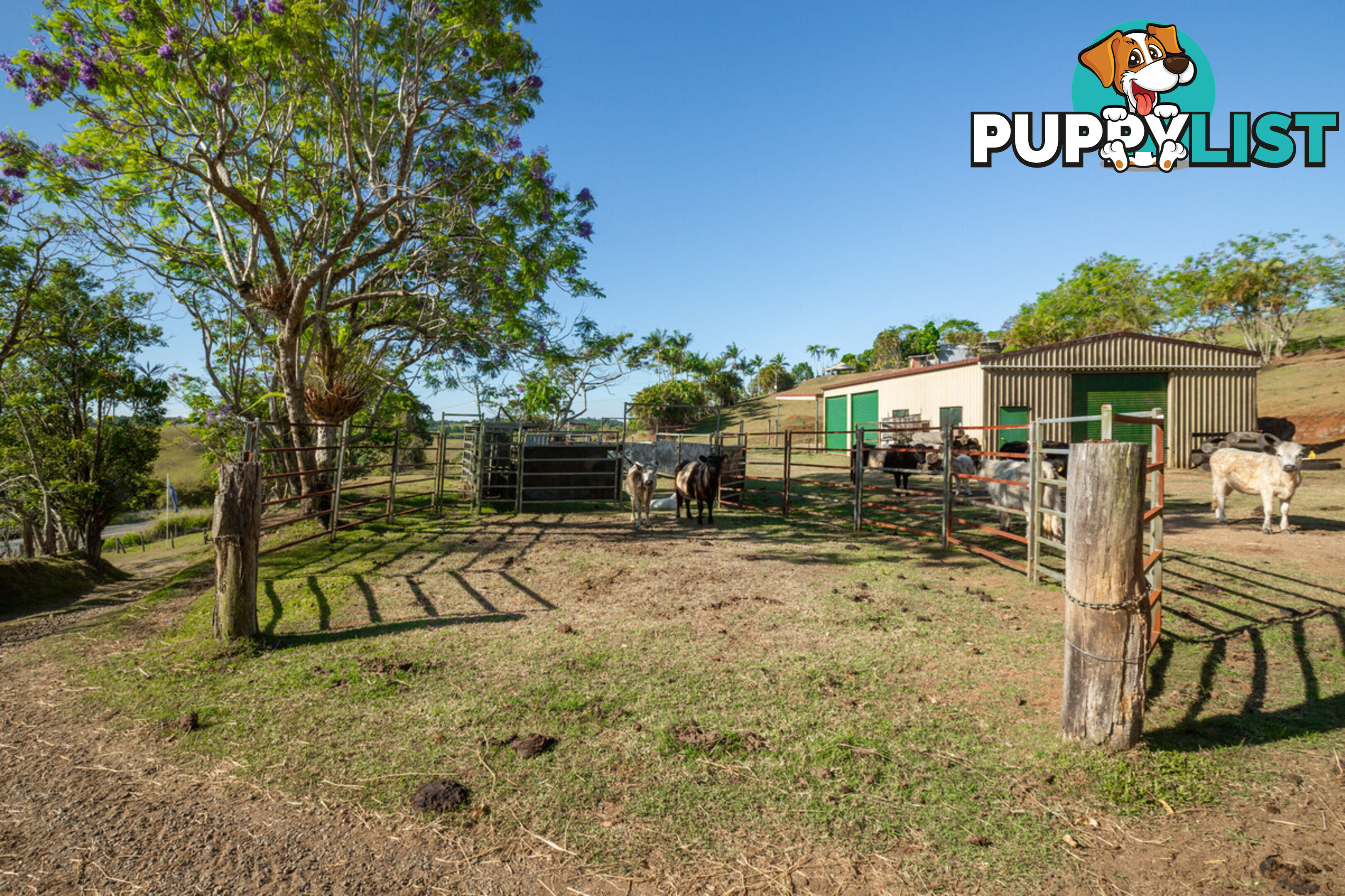 788 Millaa Millaa Malanda Road MINBUN QLD 4886