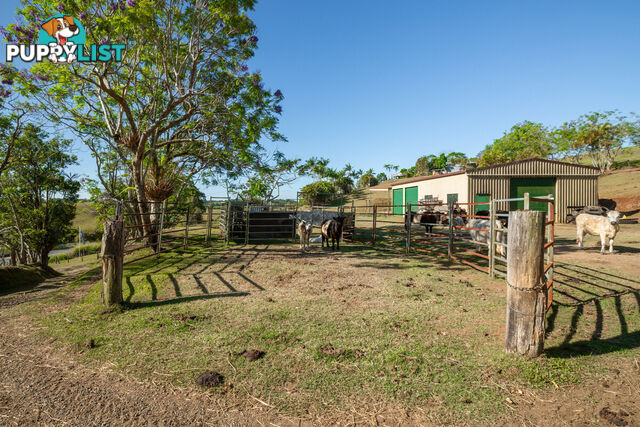 788 Millaa Millaa Malanda Road MINBUN QLD 4886