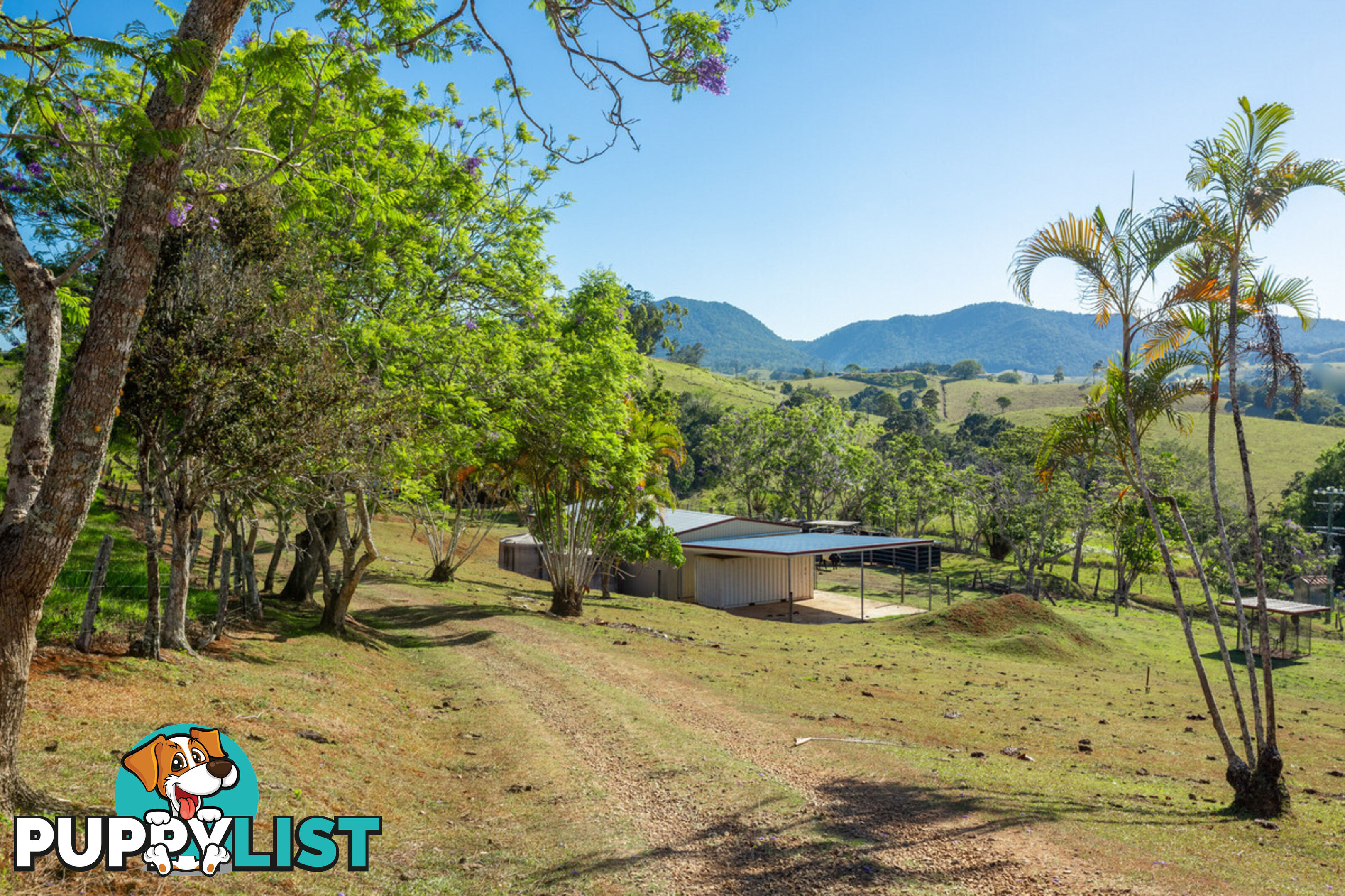 788 Millaa Millaa Malanda Road MINBUN QLD 4886