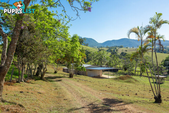 788 Millaa Millaa Malanda Road MINBUN QLD 4886