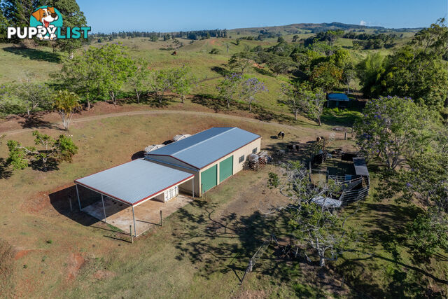 788 Millaa Millaa Malanda Road MINBUN QLD 4886