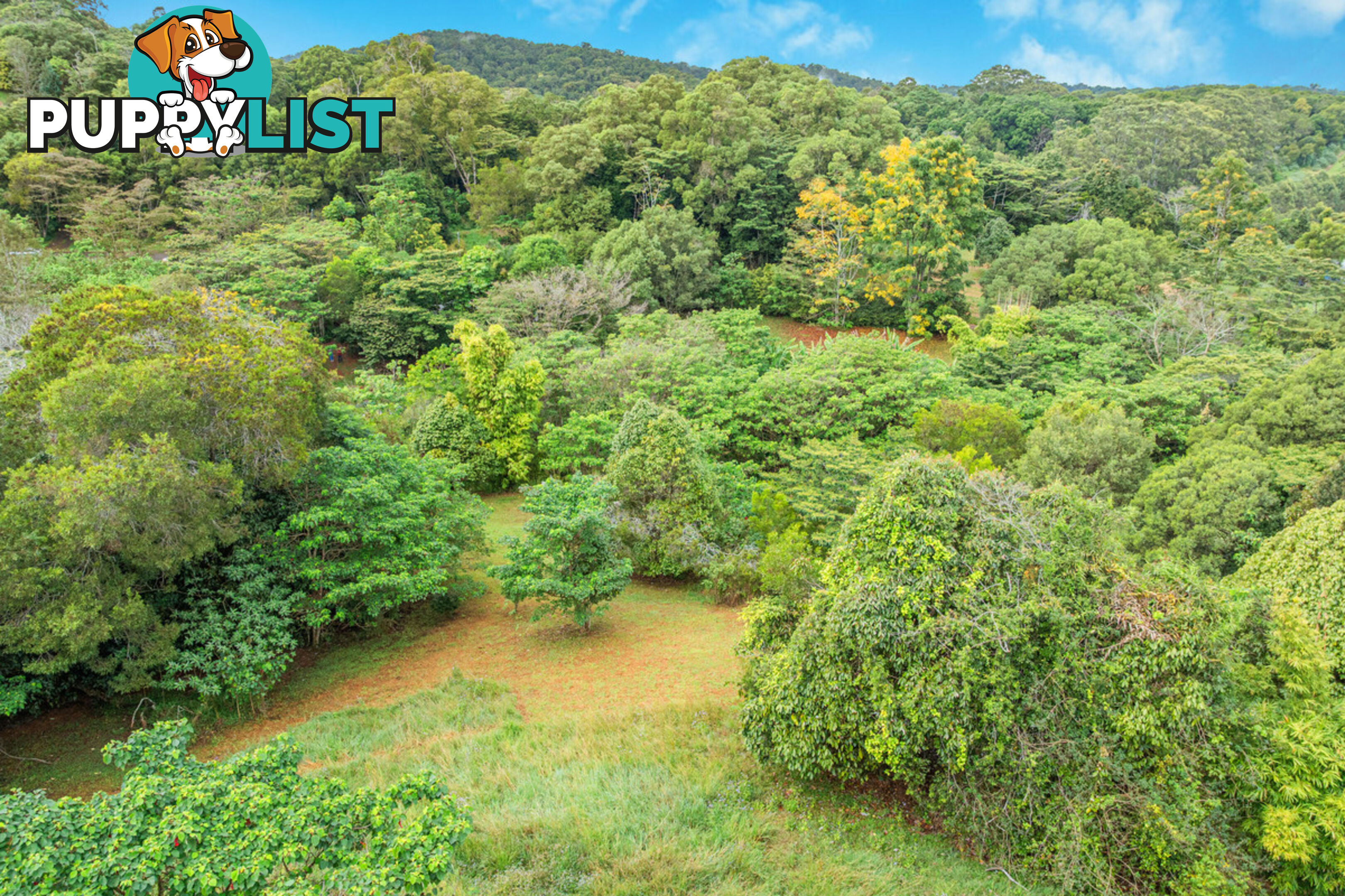 62 Bellview Drive RAVENSHOE QLD 4888
