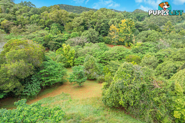 62 Bellview Drive RAVENSHOE QLD 4888