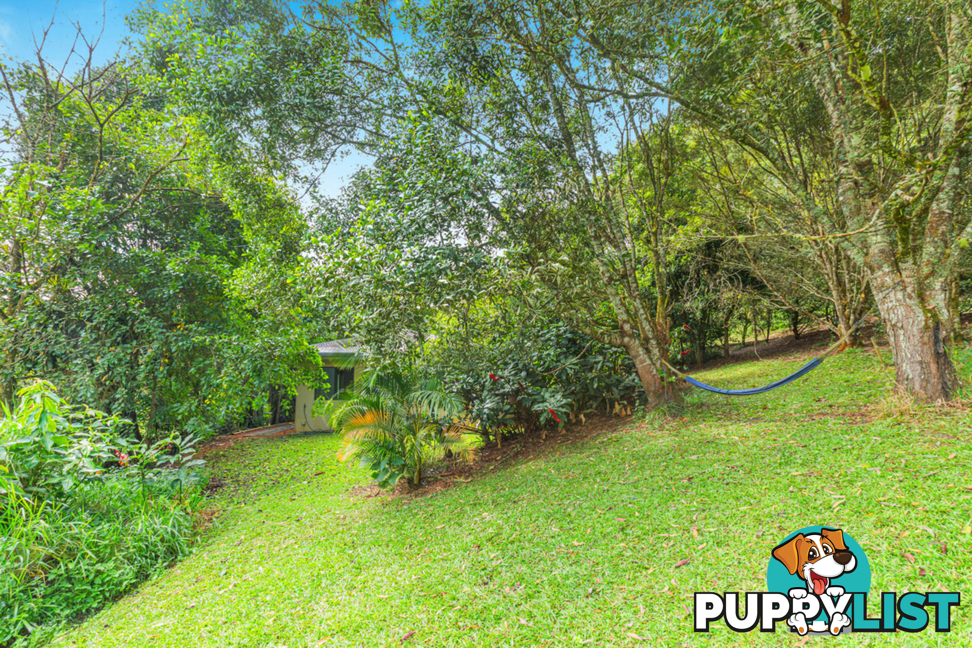 62 Bellview Drive RAVENSHOE QLD 4888