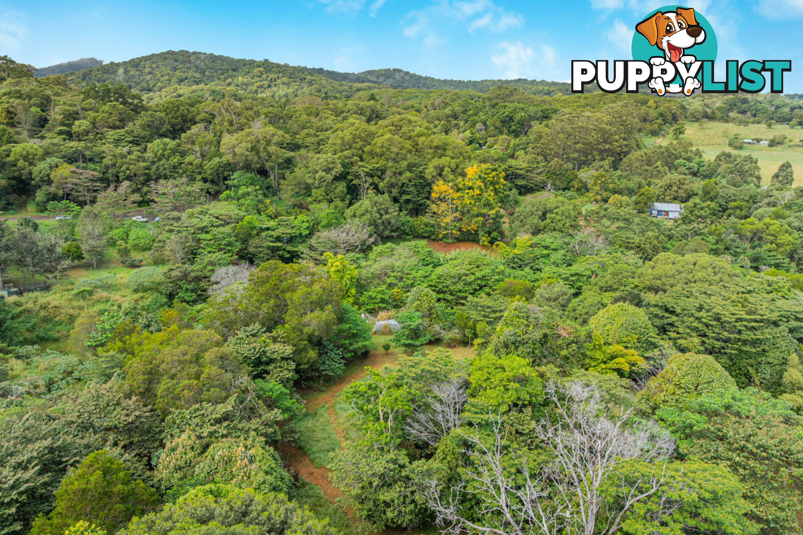 62 Bellview Drive RAVENSHOE QLD 4888
