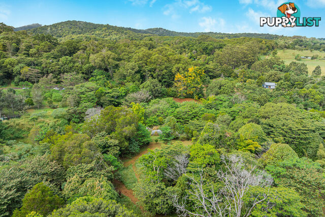 62 Bellview Drive RAVENSHOE QLD 4888
