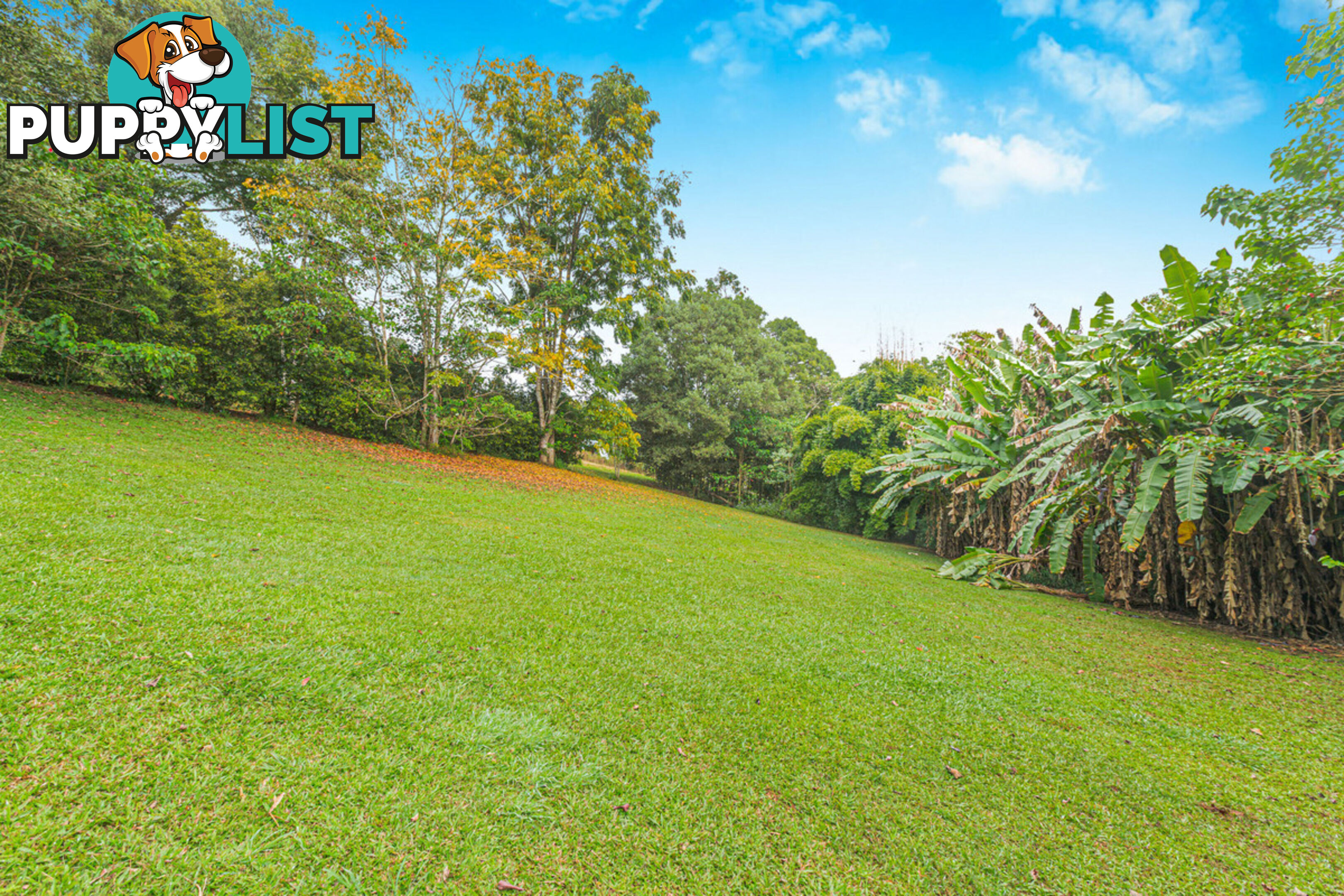 62 Bellview Drive RAVENSHOE QLD 4888