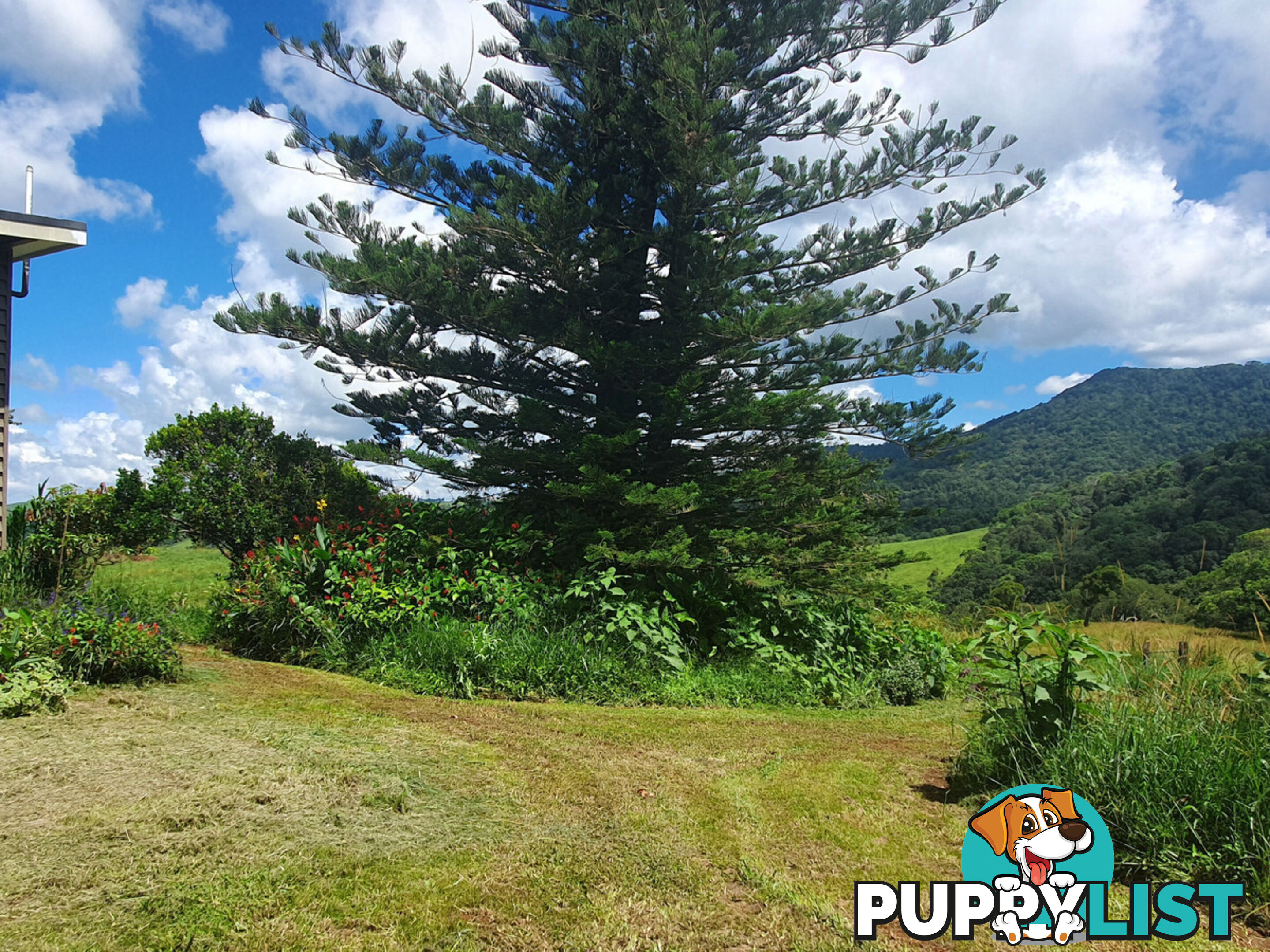 265 Patterson Road MINBUN QLD 4886