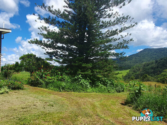 265 Patterson Road MINBUN QLD 4886