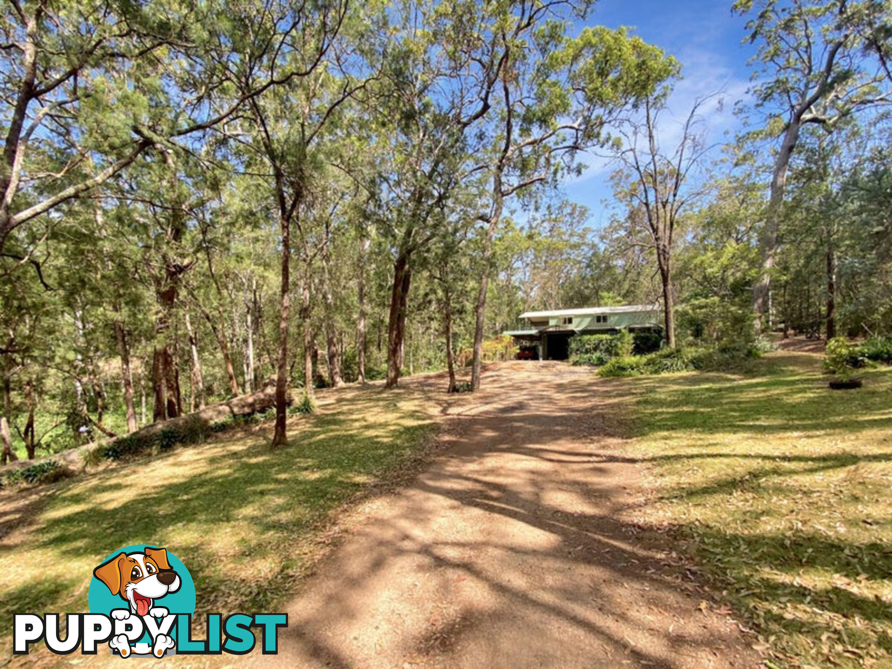 5 Dielhof Drive WONDECLA QLD 4887