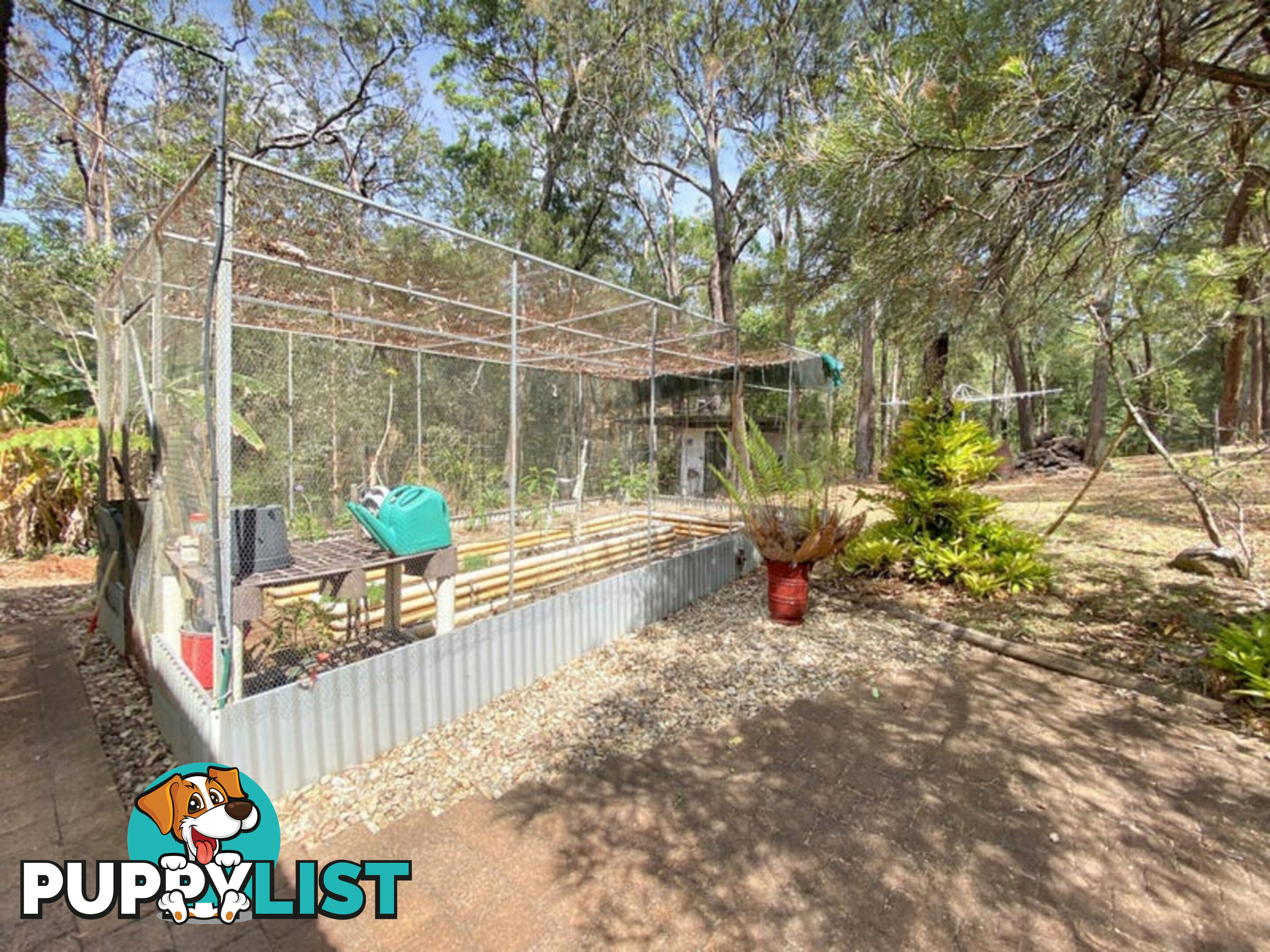 5 Dielhof Drive WONDECLA QLD 4887