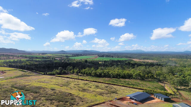 Lot 14 Murphy Street TOLGA QLD 4882