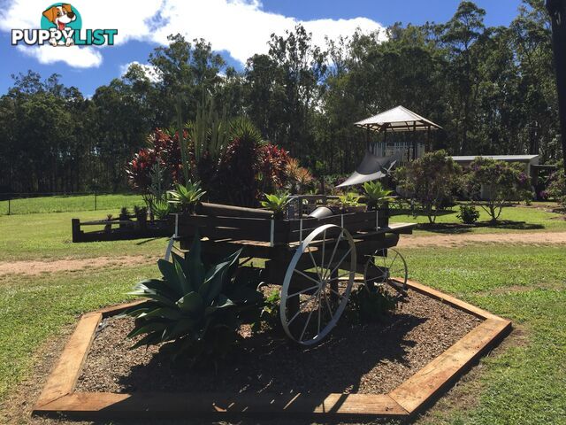 20 Sigley Road WONDECLA QLD 4887