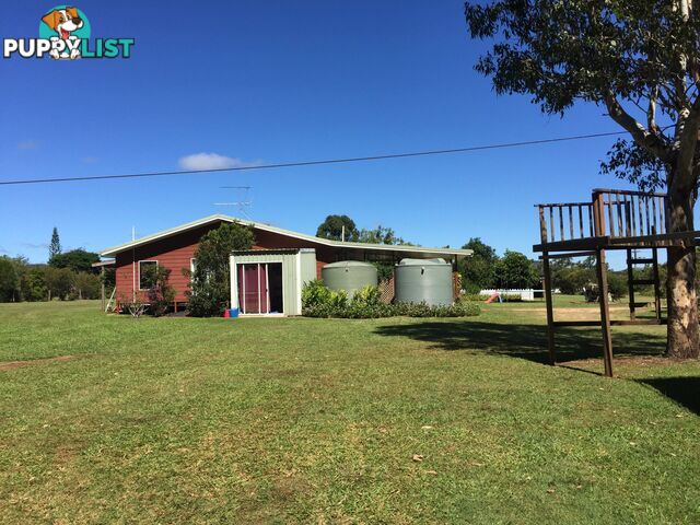 20 Sigley Road WONDECLA QLD 4887