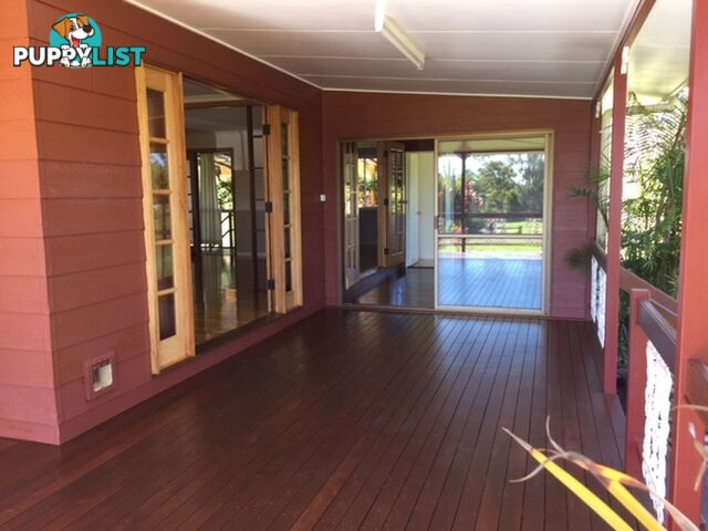 20 Sigley Road WONDECLA QLD 4887