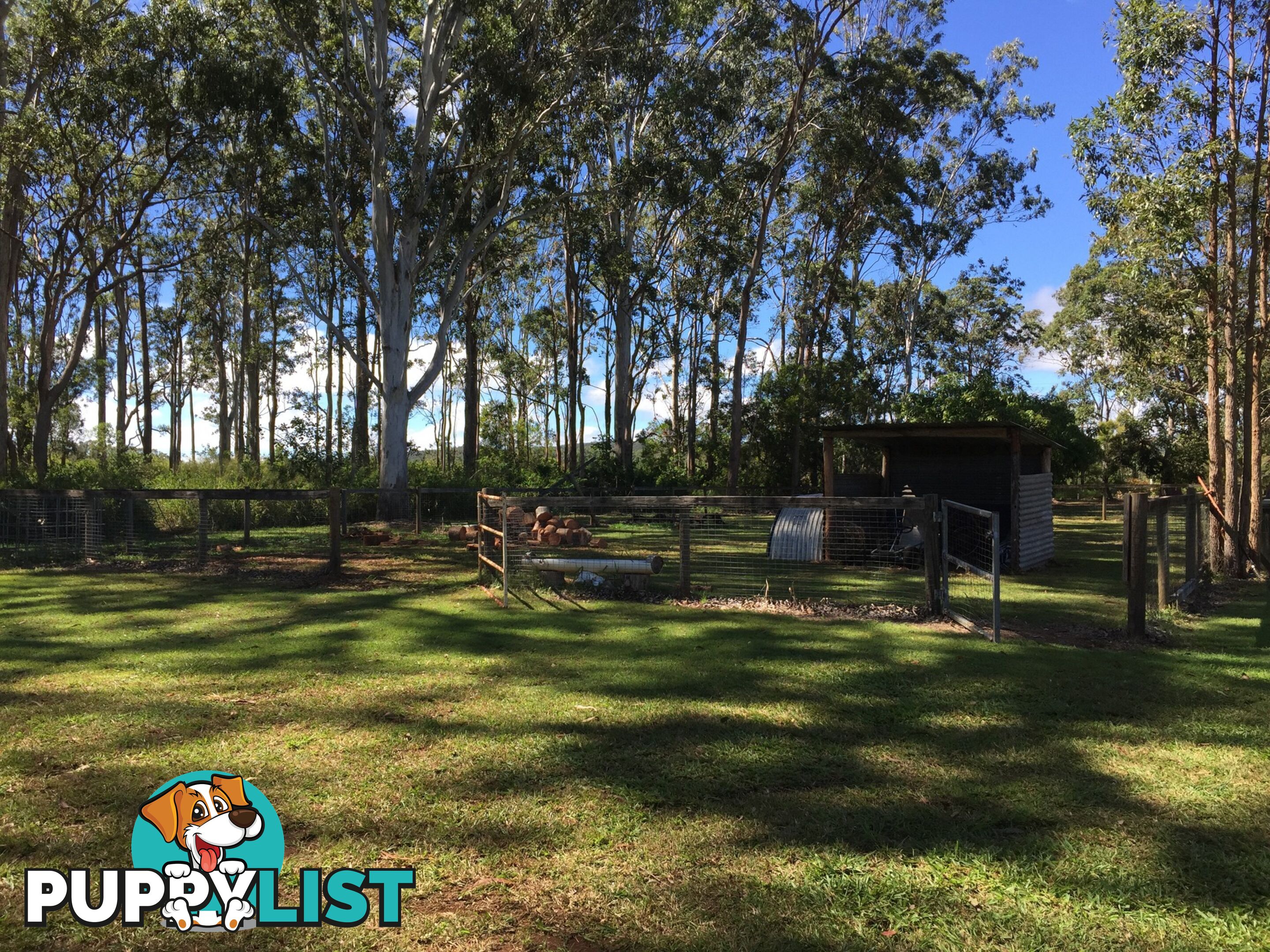 20 Sigley Road WONDECLA QLD 4887