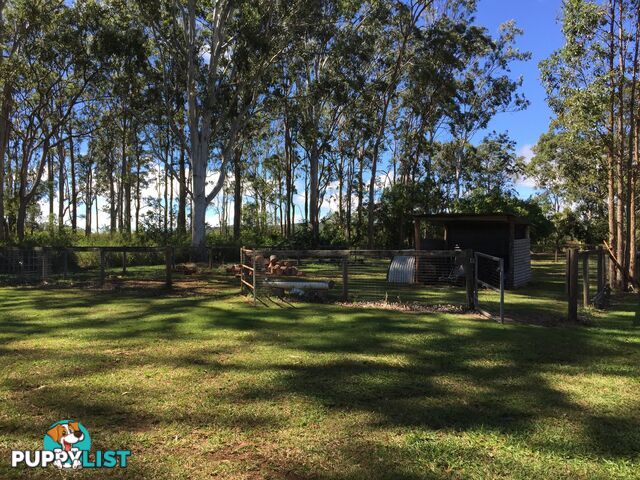 20 Sigley Road WONDECLA QLD 4887