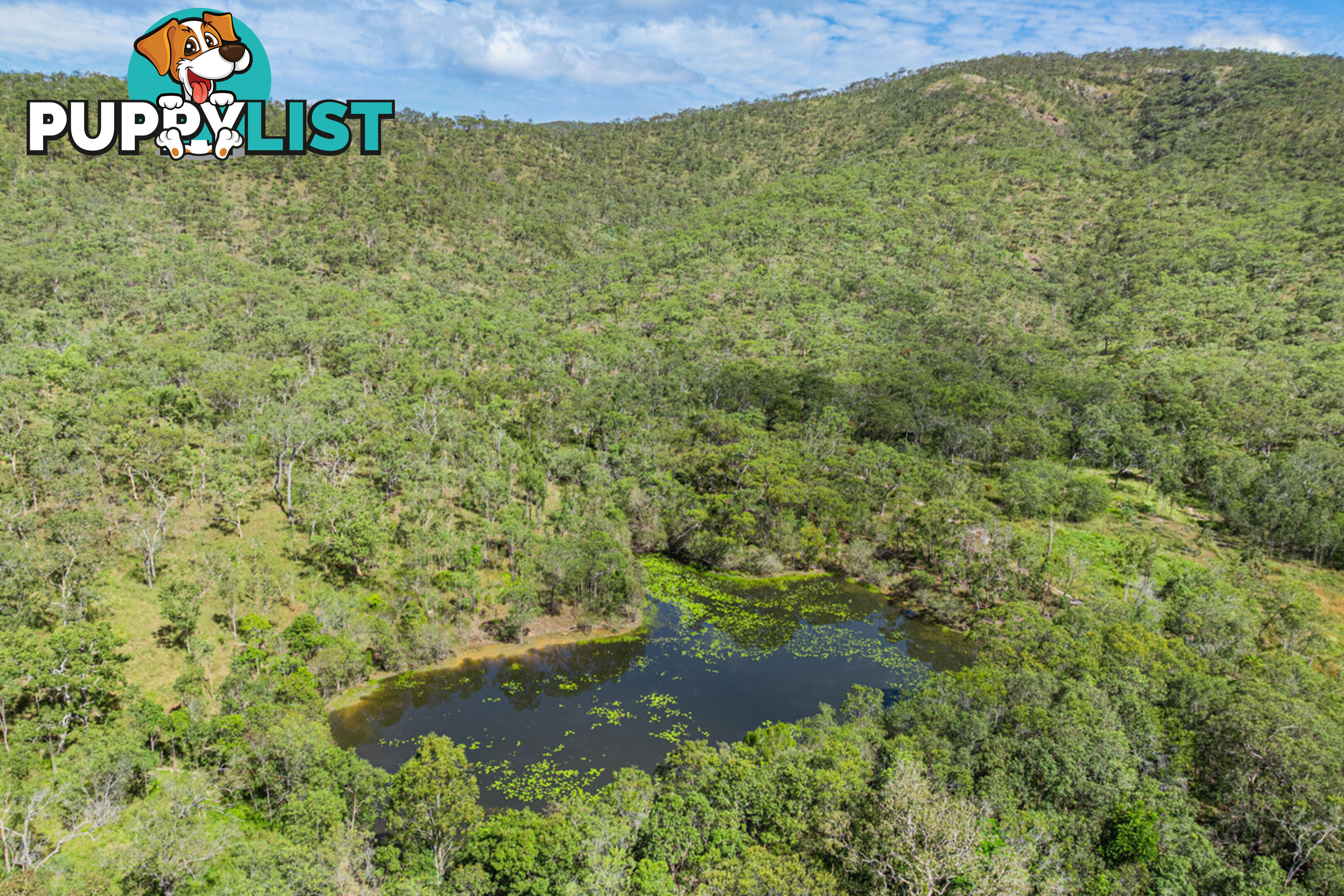 88 Anderson Road TOLGA QLD 4882