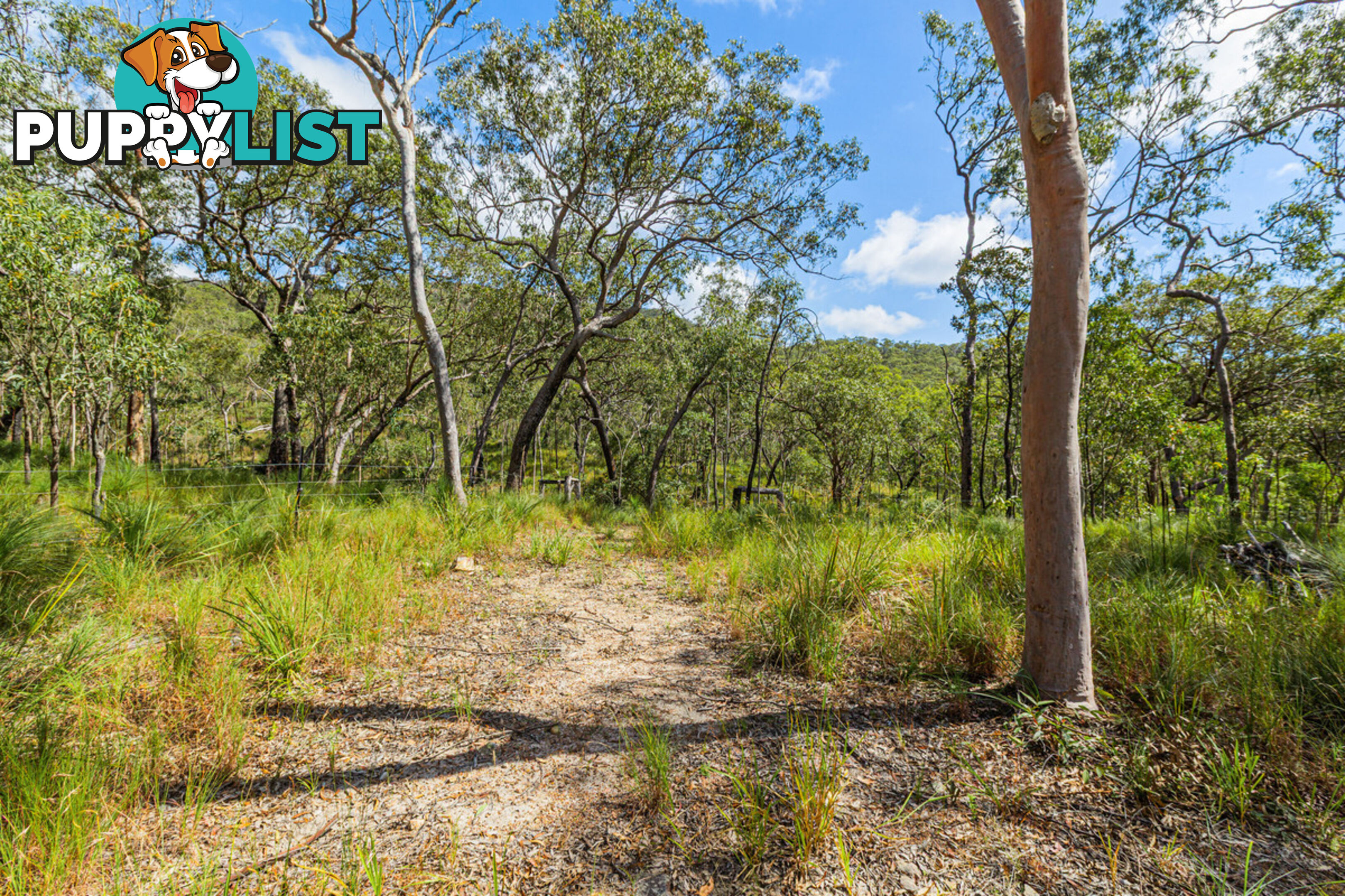 88 Anderson Road TOLGA QLD 4882