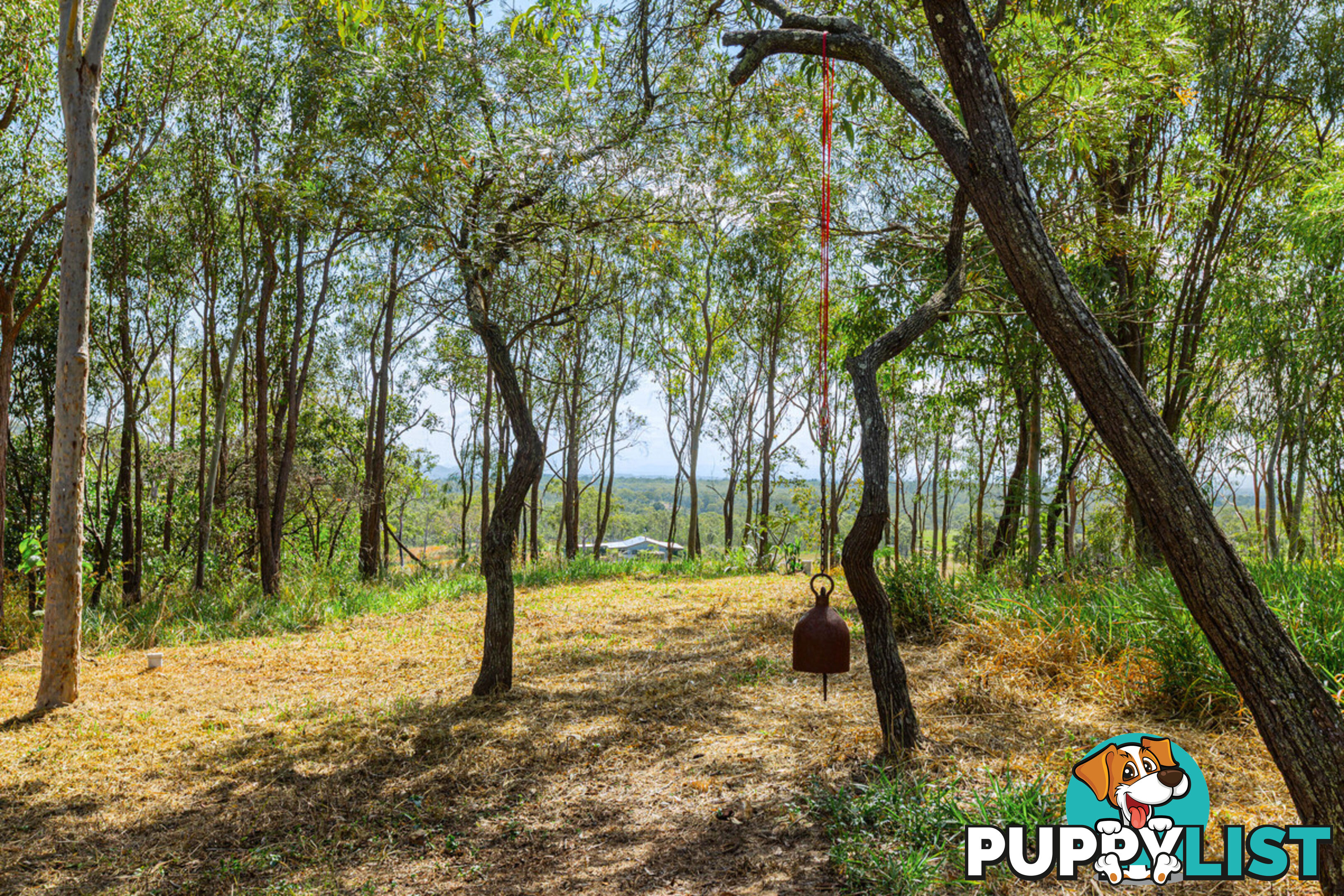 88 Anderson Road TOLGA QLD 4882