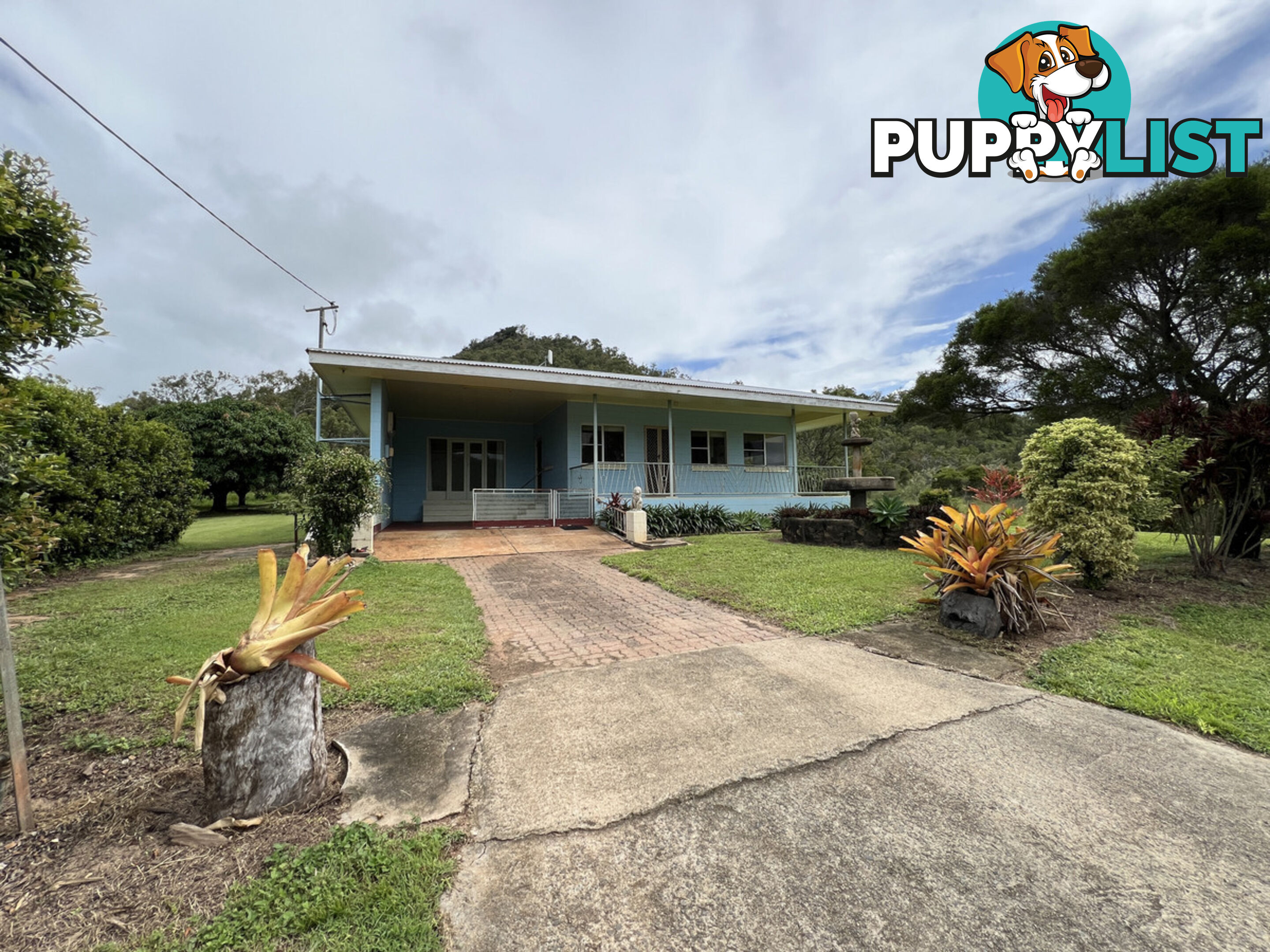 550 Narcotic Creek Road CHEWKO QLD 4880