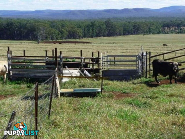523 Longlands Gap Road WONDECLA QLD 4887