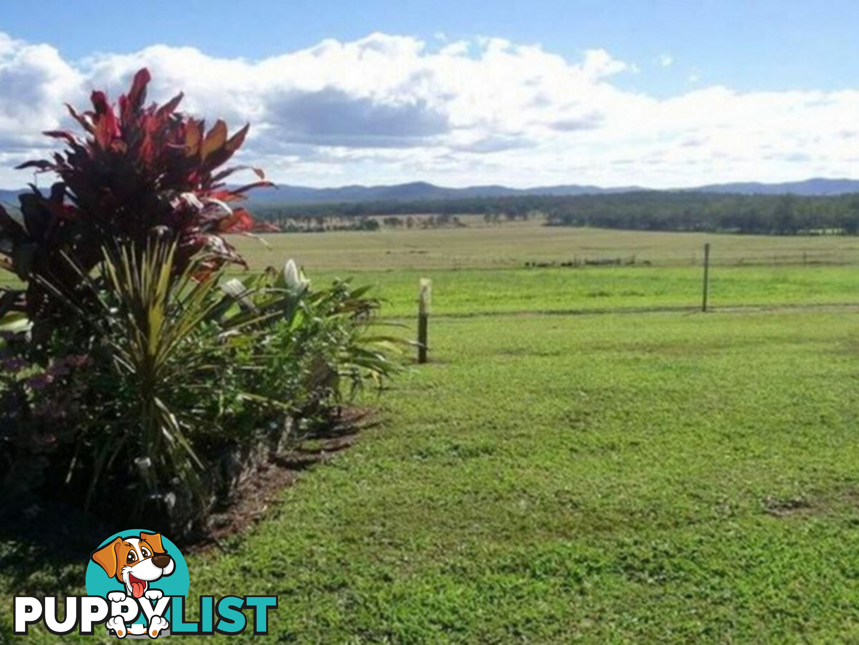 523 Longlands Gap Road WONDECLA QLD 4887