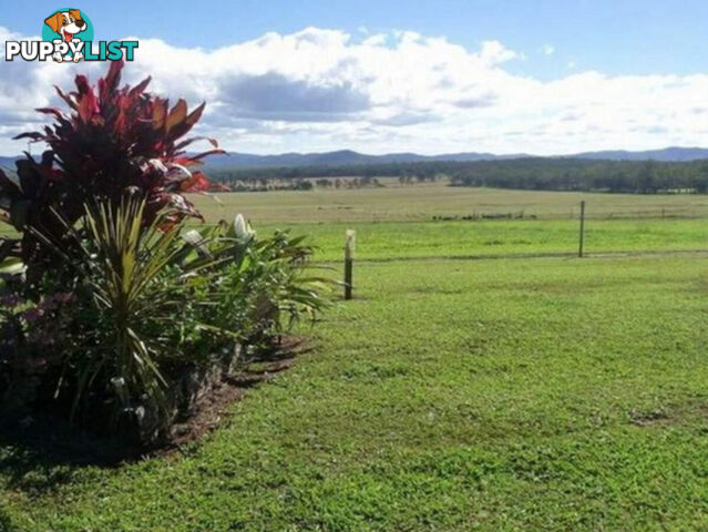 523 Longlands Gap Road WONDECLA QLD 4887
